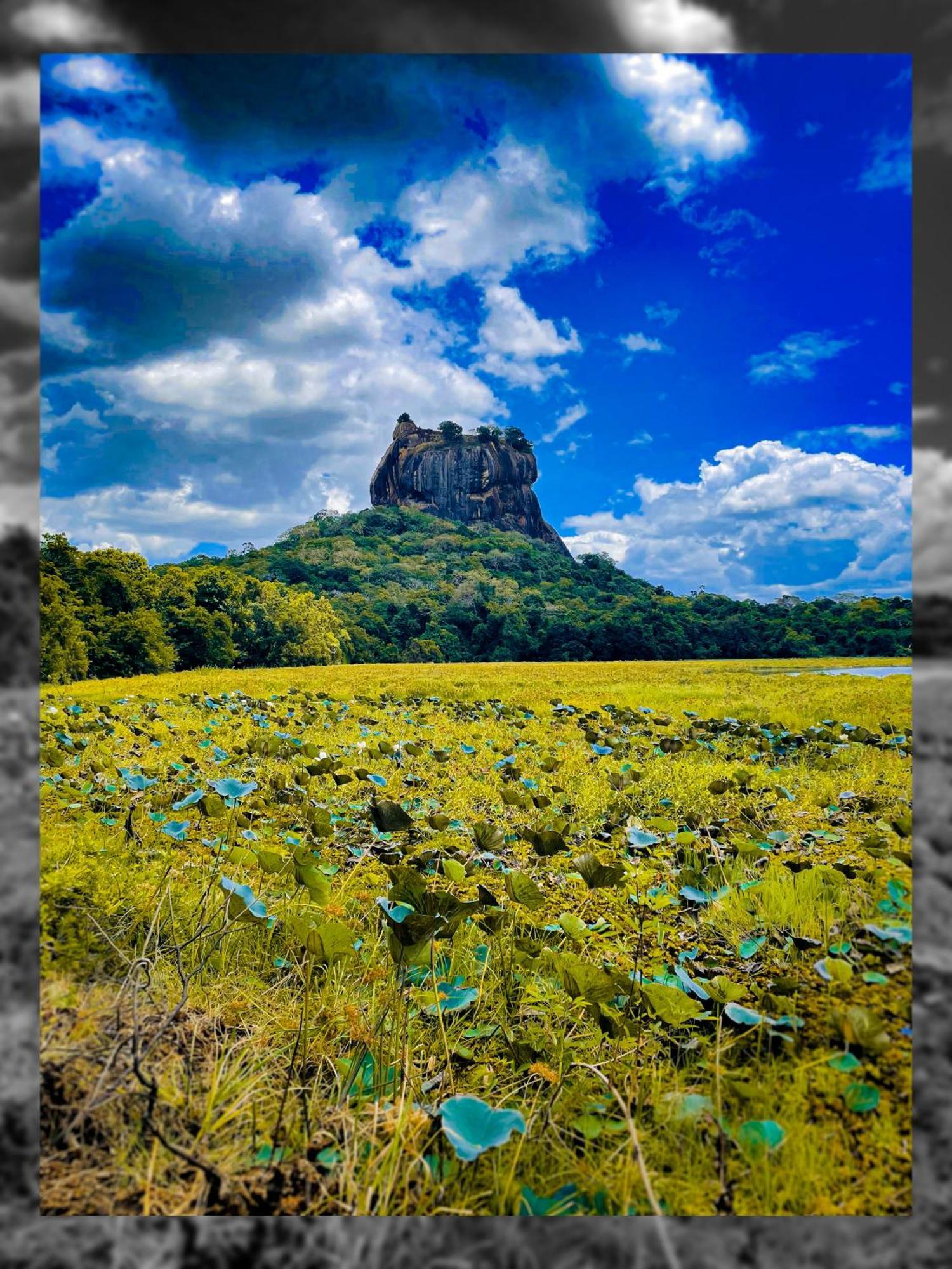 The Lotus Villa Sigiriya Buitenkant foto